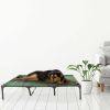 Elevated Dog Bed – Indoor/Outdoor Dog Cot or Puppy Bed for Pets up to 110lbs by Petmaker (Green)