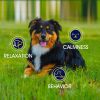 Hemp Calming Chews for Dogs with Anxiety and Stress Dog Calming Treats Dog Anxiety Relief 90 Chews